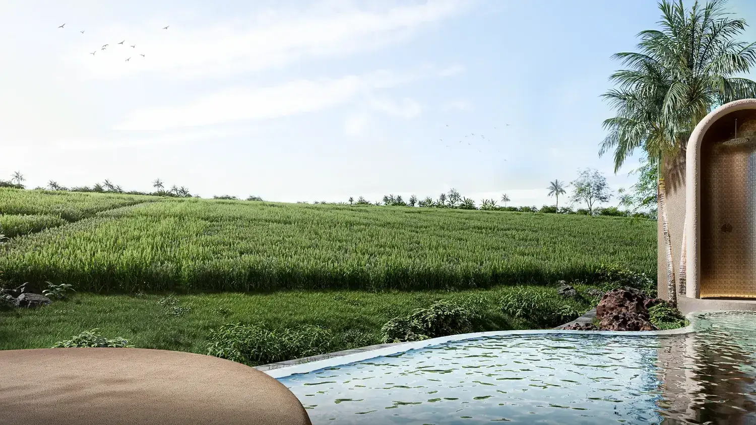 Pool edge over the rice fields