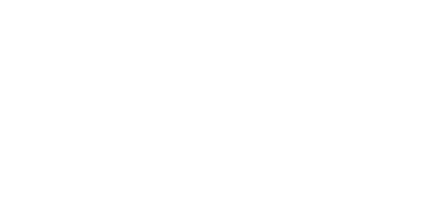 SIR